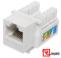 REGUVOLT RV-JACK-5e – UTP Cat